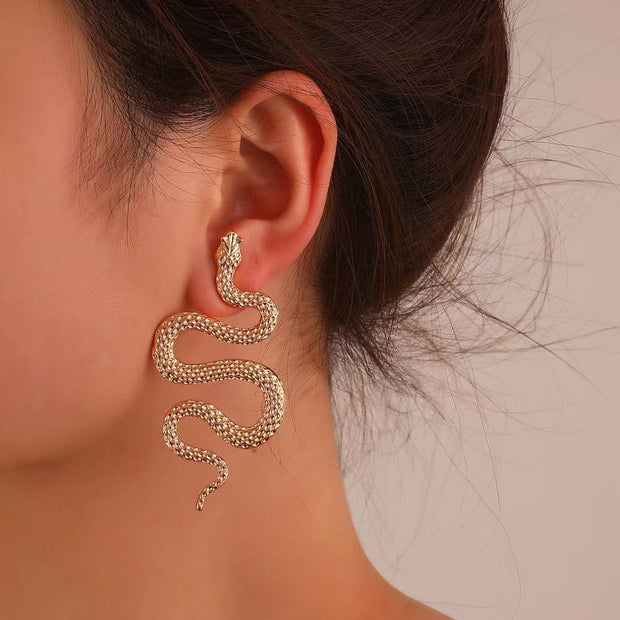 Exaggerated Three-dimensional Snake Earrings Fashion Punk